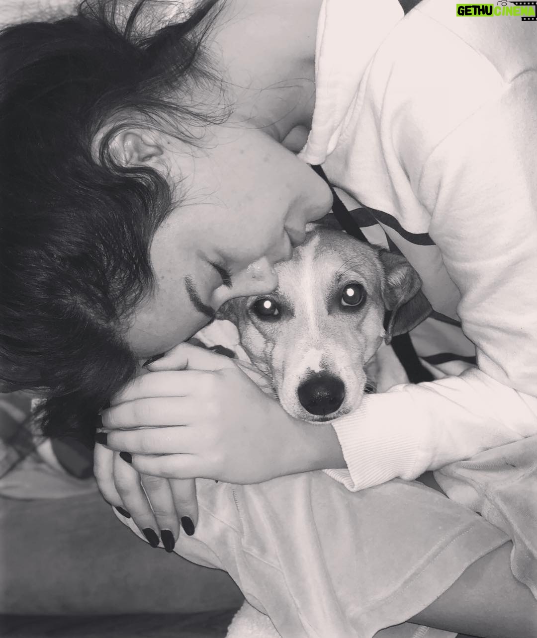 Hilal Altınbilek Instagram - 🐶❤️ #maximus