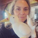 Hilarie Burton Instagram - I’m so damn excited for next Sunday! I finally get to hug my long time pen pal @sarahlangan as she goes on her book tour for her brand new novel A Better World!!!!! Because Poughkeepsie New York is mentioned in this book I told her early on that she really had to come to the Hudson Valley. And so I’m thrilled that she is joining me at @rbkcenter in an event, sponsored by my dear friends at @oblongbooks ! This book will absolutely get under your skin in the best way! So go ahead and get your orders in because you’re gonna want this baby in your creepy little hands ASAP! And then you can join the club that knows exactly what a Caladruis is!!!!! Nasty birds!!!!! Can’t wait to see you, Sarah!