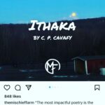 Hilarie Burton Instagram - If you are reading Grimoire Girl, then you already know about my love for A) @tara_shafer and B) poetry. So on Day 6 of “creative things I wanna share cause they make the world better”, I’m combining the two! We’ve had the @themischieffarm account for a while now. I’d originally set it up to profile the farm and our animals. But my plate is FULL and I was really struggling to create content over there. Well m’lady Tara is one of the most creative brains I know, and a brilliant program director who understands how to make the arts accessible and current. I casually mentioned to her that it might be a cool idea to turn the Mischief Farm account into a poetry account…… and Tara has taken the ball and run with it! There is so much poetry alive on our little hilltop. And she sees it in the rocks and the fence posts and the leaves and the creatures. Tara has taken some of the poetry I mentioned specifically in Grimoire Girl and has begun reinventing the way we showcase the farm. So if you haven’t been following @themischieffarm ? Now is the time to go check it out and find beauty in the overlooked corners of Mischief.