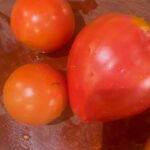 Hilarie Burton Instagram - Mischief garden tomatoes were begging to be turned into sauce! My 13 year old added all the spices and herbs. My 5 year old devoured it. 💖💖💖