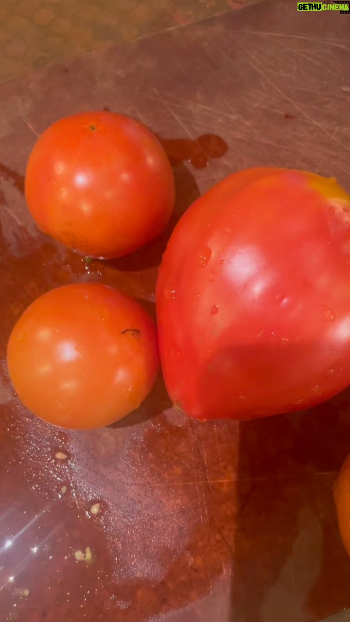 Hilarie Burton Instagram - Mischief garden tomatoes were begging to be turned into sauce! My 13 year old added all the spices and herbs. My 5 year old devoured it. 💖💖💖