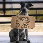 Hilary Swank Instagram – As we struggle with the worst over population crisis our shelters have seen in a decade I think it’s time for a reminder…..

We’re going to say this loudly so everyone can hear! Adoption is for LIFE not just for covid!!!! 

Our shelters and rescues are drowning because of our disposable society! Dogs and cats WILL lose their lives. What we all feared would happen with the adoption trend that blew up all through the covid quarantine period is happening and will have devastating results 😞. Animal lives are no more disposable than human lives so why do we as a society so quickly throw them away? Animals are not toys just as our children are not. If you take responsibility for a life don’t you think that responsibility should be for life?

It’s time for some accountability. What we as humans are doing is not ok and it’s not sustainable. Covid shut us down. We were bored, restricted and many adopted. This should have been a wonderful thing. But instead humans are messing up one of the few good things that came out of the covid quarantine. 
Now that we are slowly going back to work and resuming some normalcy those same adopted companions that brought us joy and comfort are suddenly a inconvenience. We are throwing away the very living things that gave us sanity and a sense of purpose when the world was in total upheaval. And don’t forget they gave us love with no expectation of anything given in return. It sure would be nice if we could treat them with the same respect!

The reality….our shelters are full. Rescues are full. Animals are loose all over the streets. People don’t care. Guess what? It’s time to care and it’s time to take charge of a society that chooses to make living creatures a disposable commodity. So many rely on others to make a difference but we in the rescue community need you to look at what you can do. We need more doers and less people on the sidelines. If we don’t get more help soon the lives lost in our shelter system just may reach numbers higher than we’ve ever seen before. We as a society can’t let that happen. We have to be the change we want to see! We have to make their lives matter too 💔

Repost : @marleysmutts