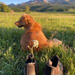 Hilary Swank Instagram – #SundayVibes ⛰🐶🥂