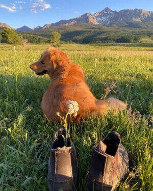 Hilary Swank Instagram - #SundayVibes ⛰🐶🥂