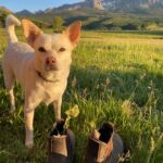 Hilary Swank Instagram – #SundayVibes ⛰🐶🥂