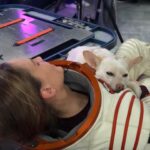 Hilary Swank Instagram - Whether it’s working, hanging out, playing or resting, this is my ♥️ dog, @mamamoon I’m so grateful to have found her on a 200 mile desolate highway in 28°, pregnant and to be able to help her. She is paying me back in spades and then some. You may remember I told you I was claustrophobic in my spacesuit and had to work really hard through it, she was a huge component of that. She just knew, she would struggle to get out of the person’s arms holding her once a take was complete and curl onto my chest and just simply be and breath with me. #WhoRescuedWho? Thanks @deityanimalrescue for helping us find all her sweet babies homes. We 💜 you angel ladies! #AdoptDontShop #MyUnspokenPet #DogsOfInstagram 🐶 🐾 💫💝