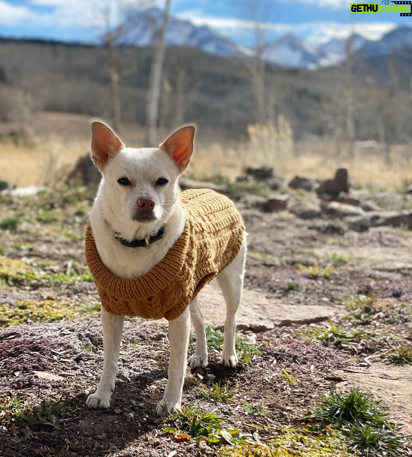 Hilary Swank Instagram - Hi everyone! š Iāve been busy filming and of courseā¦knitting! I teamed up with @debbieblissknits and @lovecraftscom to make something special that would not only be fun and cozy, but would also go to a good cause!! 100% of the proceeds, from the price of the pattern goes to the @hilaroofoundation A nonprofit I lovingly started that brings kids who have been given up on and animals who have been abandoned, together to help heal each other. And since itās spring, that means thereās still a chill in the air, so we made a sweater vestā¦wait for itā¦.for you AND your dog!! Hereās @mamamoon (modeling perfectly all angles š) and me in our matching vests. š„° š¶ Link to the pattern above in my bio!! #Knitter #Hilaroo #ChangeThePathOfASoul #WhoRescuedWho #Spring