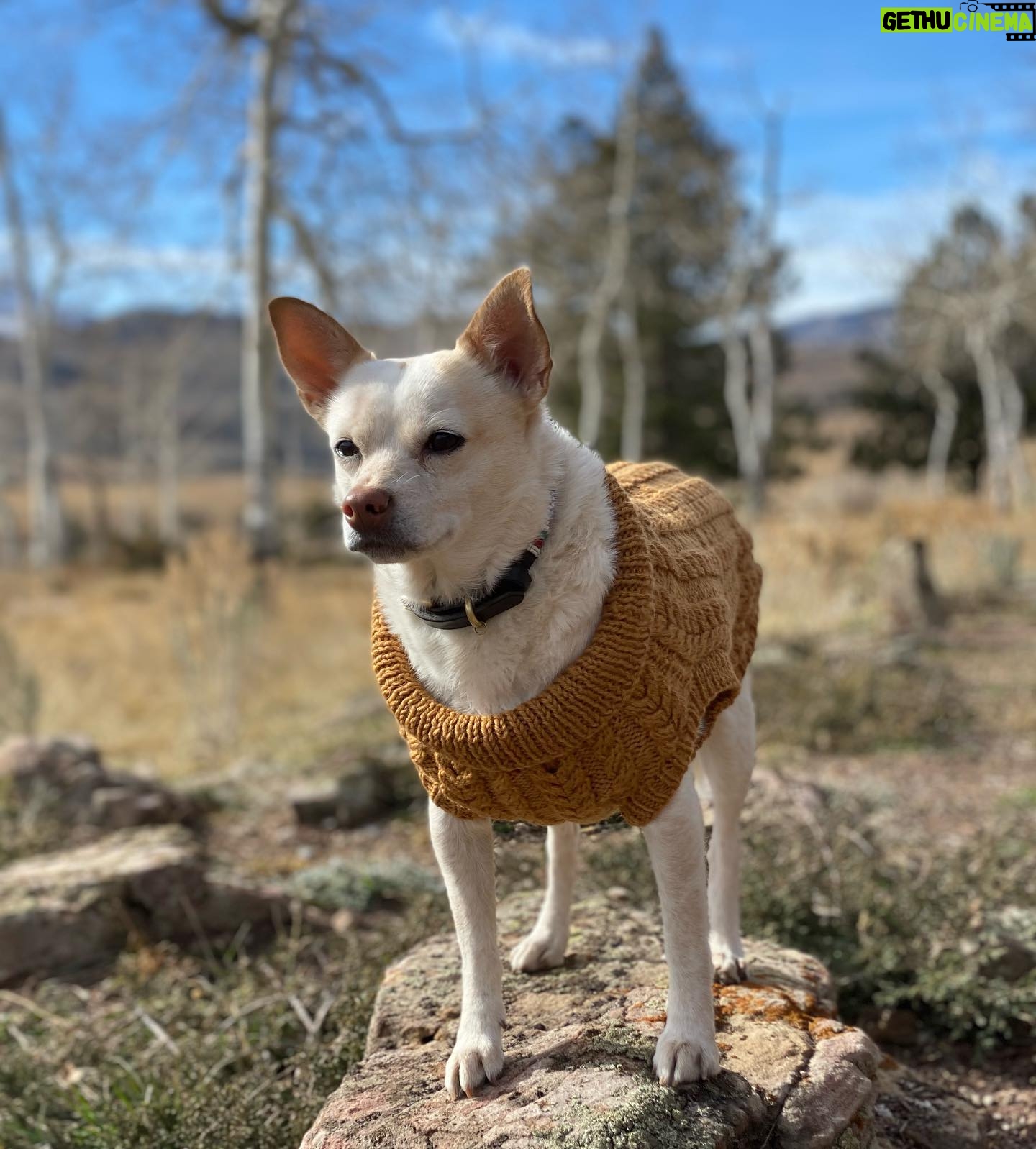 Hilary Swank Instagram - Hi everyone! š Iāve been busy filming and of courseā¦knitting! I teamed up with @debbieblissknits and @lovecraftscom to make something special that would not only be fun and cozy, but would also go to a good cause!! 100% of the proceeds, from the price of the pattern goes to the @hilaroofoundation A nonprofit I lovingly started that brings kids who have been given up on and animals who have been abandoned, together to help heal each other. And since itās spring, that means thereās still a chill in the air, so we made a sweater vestā¦wait for itā¦.for you AND your dog!! Hereās @mamamoon (modeling perfectly all angles š) and me in our matching vests. š„° š¶ Link to the pattern above in my bio!! #Knitter #Hilaroo #ChangeThePathOfASoul #WhoRescuedWho #Spring
