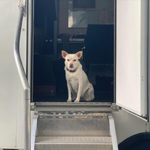 Hilary Swank Instagram - Whether it’s working, hanging out, playing or resting, this is my ♥️ dog, @mamamoon 
I’m so grateful to have found her on a 200 mile desolate highway in 28°, pregnant and to be able to help her. She is paying me back in spades and then some. You may remember I told you I was claustrophobic in my spacesuit and had to work really hard through it, she was a huge component of that. She just knew, she would struggle to get out of the person’s arms holding her once a take was complete and curl onto my chest and just simply be and breath with me. #WhoRescuedWho?
Thanks @deityanimalrescue for helping us find all her sweet babies homes. We 💜 you angel ladies! #AdoptDontShop #MyUnspokenPet 
#DogsOfInstagram 🐶 🐾 💫💝