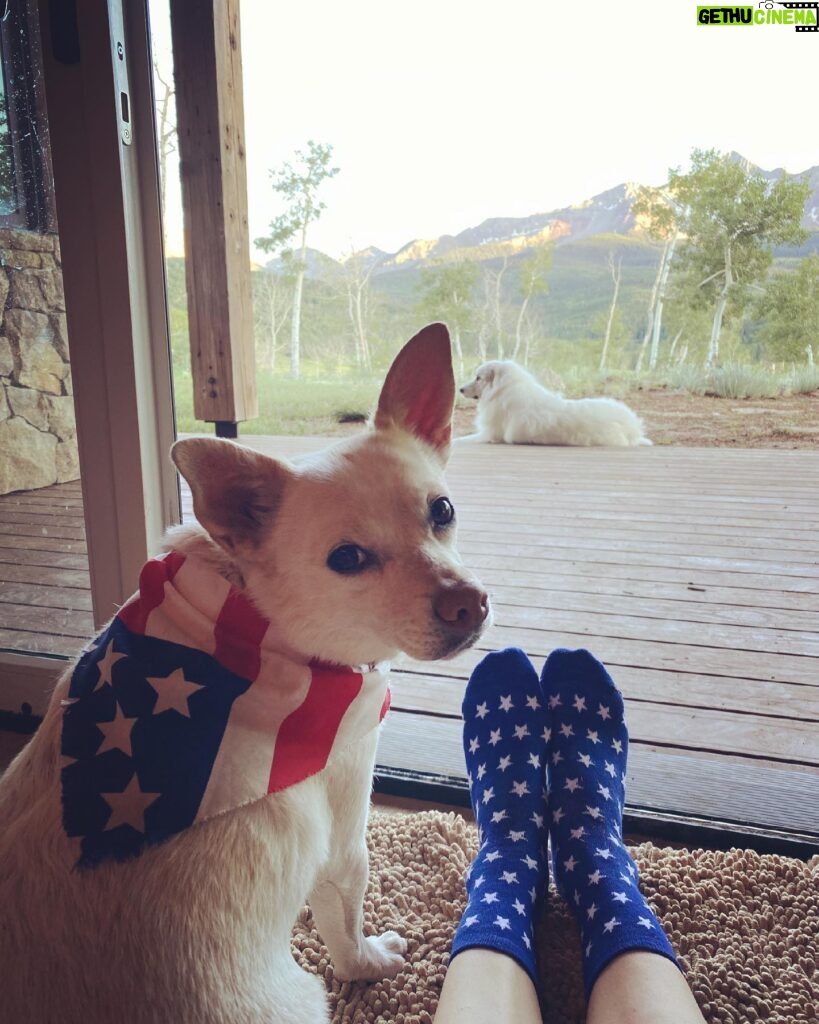 Hilary Swank Instagram - Happy 4th of July, from @mamamoon , me and Da Pack! #4thofJuly