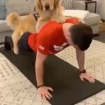Hilary Swank Instagram – “The best workout partner!”

#FitnessFriday brought to you by @golden.pawlover

#WhatsYourMissionStatement?#MadeChoice #MakeItHappen 
#DogsOfInstagram #WhosYourWorkoutPartner?