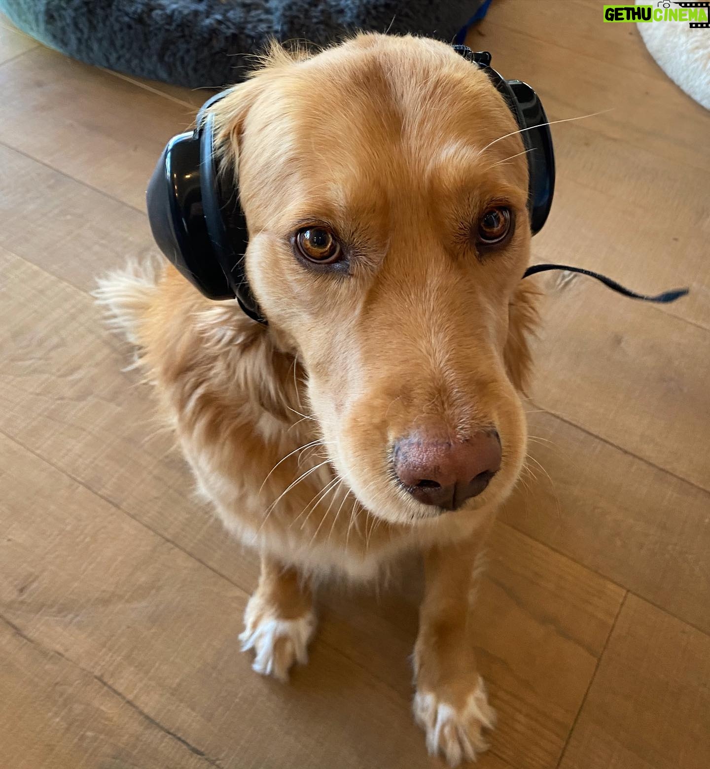 Hilary Swank Instagram - Getting ready to fly!! πΆ πΆ Be sure to swipe to see more cuteness!! ππ½ Inspired by our Buddy, @mrbentley_thedog π And so grateful to the person that created these! ππ½ Got to protect the doggies ears too!! ππ½ #MuttMuffs