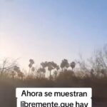 Hilda Abrahamz Instagram - Ud que opina?? Los leo… Están pasando tantas cosas que uno se queda abrumado 🫨🫢 Real?