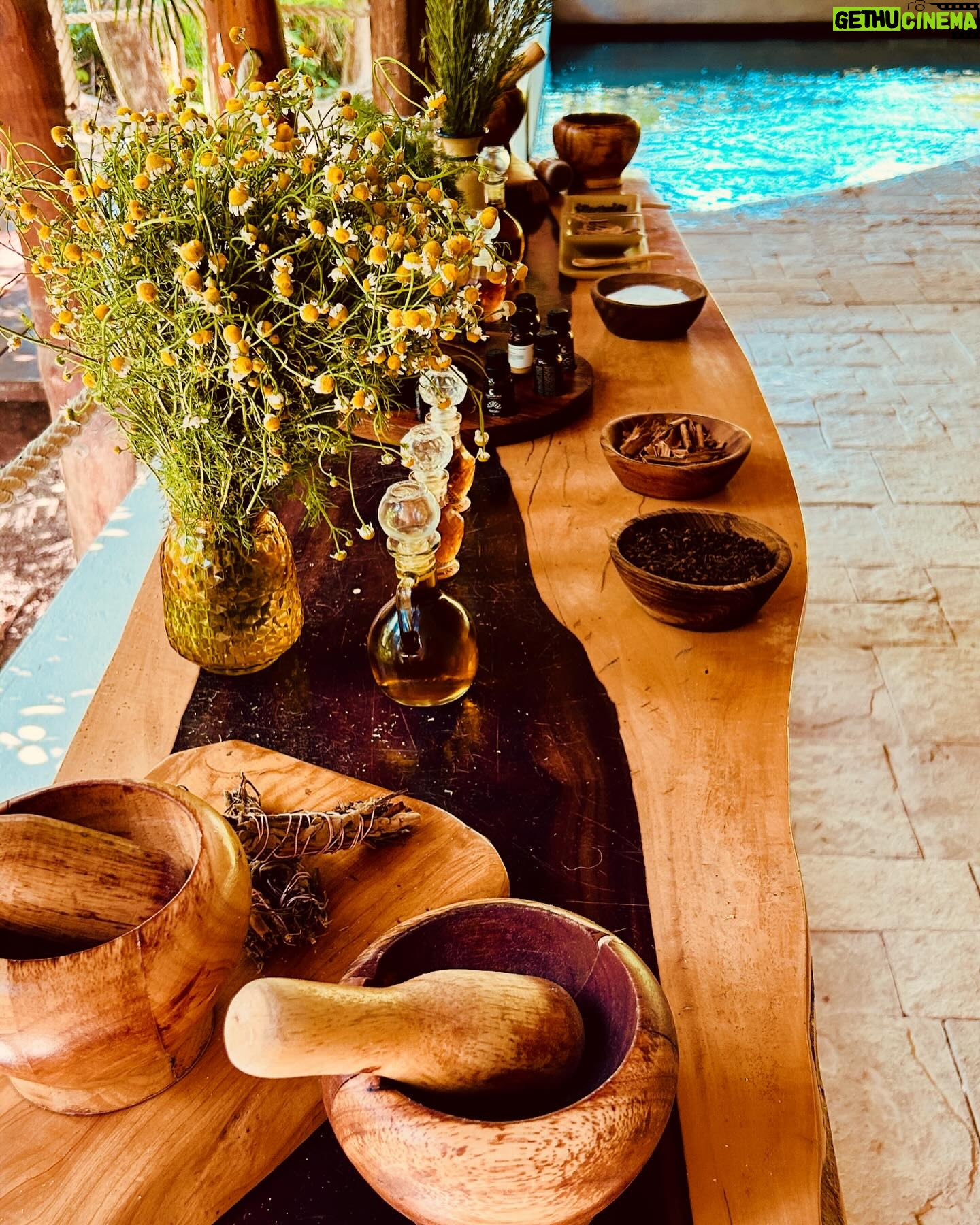 Holly Marie Combs Instagram - Gracias. @hyattzilararivieramaya 🌺