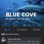 Holly Marie Combs Instagram - Here’s to you @seashepherdsscs and let’s not forget @seashepherdaustralia with your cute little context bots. #lilylivered #landloving #hacks It’s a #bluecove today just fyi in case you’re still stuck in your boardrooms ruminating. #seashepherd