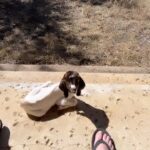 Holly Marie Combs Instagram – Negotiations. Texas Style.
