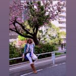 Holly Robinson Peete Instagram – The Sakura waited for meeee ππΎπΈπΈπΈπΈπ―π΅π―π΅π―π΅ @58robbie #Tokyo TY πΈ @matthewjordansmith
