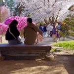 Holly Robinson Peete Instagram – Screaming #happybirthday to you @matthewjordansmith! 
So great to see you in Tokyo and soooo glad you got to catch the last of the Sakura Blooming in #Aomori!! SWIPE What a glorious day!! 🙏🏾🌸🌸🌸🌸🇯🇵🇯🇵🇯🇵🇯🇵🇯🇵 don’t forget to check out Matthew’s new book #ArethaCool!!