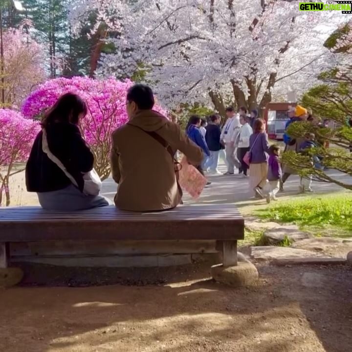 Holly Robinson Peete Instagram - Screaming #happybirthday to you @matthewjordansmith! So great to see you in Tokyo and soooo glad you got to catch the last of the Sakura Blooming in #Aomori!! SWIPE What a glorious day!! ππΎπΈπΈπΈπΈπ―π΅π―π΅π―π΅π―π΅π―π΅ donβt forget to check out Matthewβs new book #ArethaCool!!