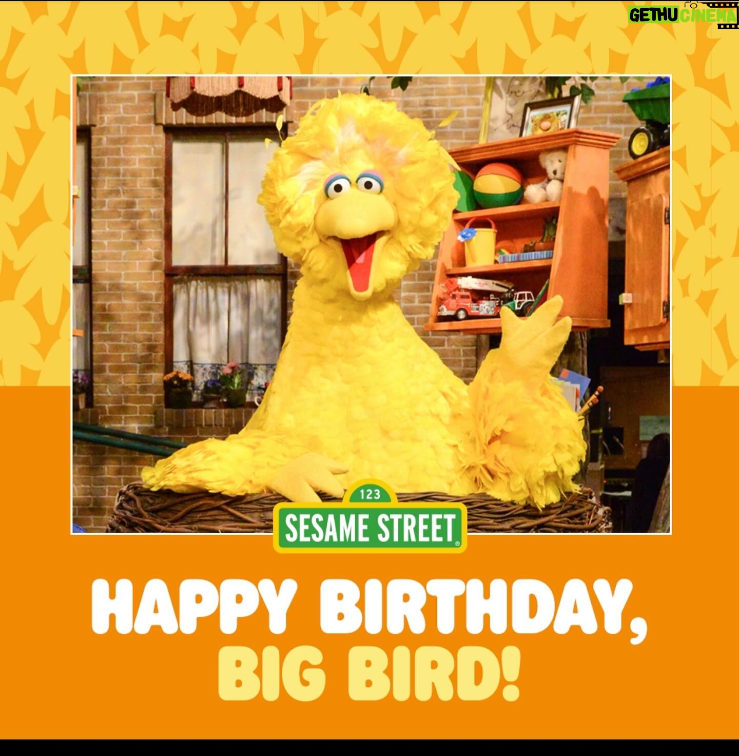 Holly Robinson Peete Instagram - Happy birthday, Big Bird! πππ₯³I had the unbelievable honor to have met you before the world did in 1969! Before all your head feathers came in! (SWIPE)ππ Rest In Peace, #CarrollSpinney ππ #SesameStreet #GordonsDaughter #mattrobinson