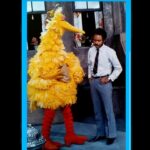 Holly Robinson Peete Instagram – Happy birthday, Big Bird! 🎂🎉🥳I had the unbelievable honor to have met you before the world did in 1969! Before all your head feathers came in! (SWIPE)😂😂
Rest In Peace, #CarrollSpinney 💚💛
#SesameStreet  #GordonsDaughter #mattrobinson