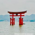 Holly Robinson Peete Instagram – It’s #GoldenWeek in Japan! 🇯🇵🗾
This is a national week of holiday-Everyone in Japan is off for a week! Naturally, I’m living vicariously through @58robbie who is living and studying in Tokyo right now. He visiting Hiroshima this week!! That’s on my bucket list for sure! How good does that teppanyaki stirfry look? Omg The food in Japan is next level good even the 7-Eleven spicy fried chicken is bangin!! #Oishii 🤤