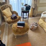 Holly Scarfone Instagram - life is suite