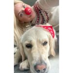 Holly Willoughby Instagram - Me and Bailey are Red nose and Dog bandanna READY! Are you? @comicrelief tonight @bbc 🔴 @amazonuk #RedNoseDay ✨