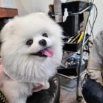 Hong Hyun-hee Instagram - 듄바미 인생 첫 개인기 ♡ #나나둥절