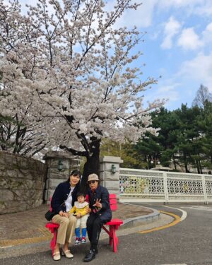 Hong Hyun-hee Instagram - 오늘은 듄바미 #벚꽃축제 왔져염
  4월5월 축제란 축제는 다 다니자 ㅋㅋㅋ 
#할모니들과함께❣️
사실 일하는 아빠 기다리는듕