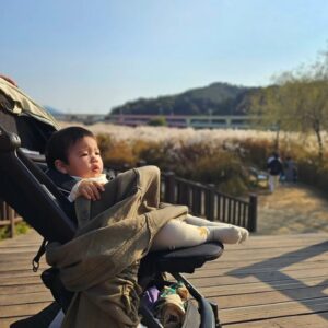 Hong Hyun-hee Instagram - 이쓴씨랑 함께한거같기도 하고 , 아닌거같기도한 #가족여행
역시 이쓴씨는 썬글이 참 잘어울...앗 ㅋㅋㅋㅋㅋㅋㅋㅋㅋ
