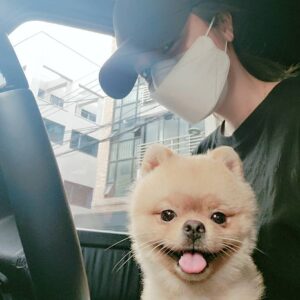 Hong Jin-young Instagram - 먼지랑 잠시 마실ㅋㅋㅋ♡ #운전하는중아님 #주차장에차세워진상황 #그러합니다😉