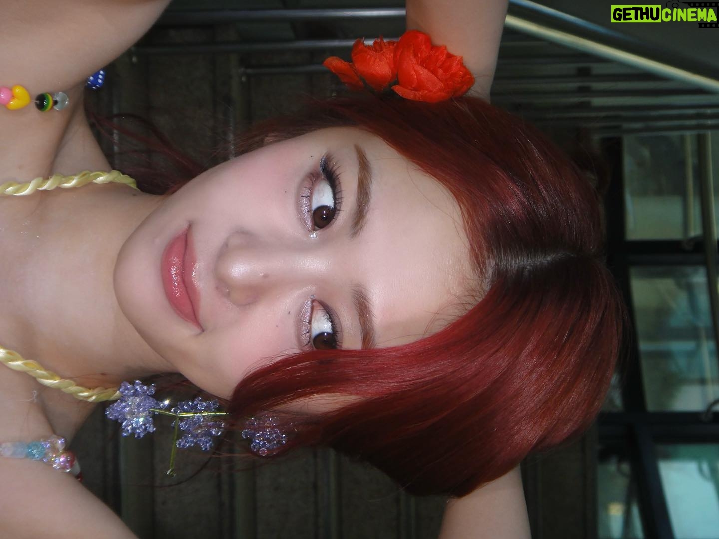 Huh Yun-jin Instagram - 피어나, 덕분에 핌둥이들 3주 동안 너무 행복했어요 ˚ʚ♡ɞ˚