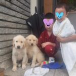 Hwang Jung-eum Instagram - 글리츠랑로스터🐶🐶 새가족🤣🤣 너므귀엽고사랑스런복덩이들4마리❤🧡💛💚💙💜