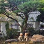 Hwang Jung-eum Instagram - 귀염둥이투성이네🤣🤣🤣🤣