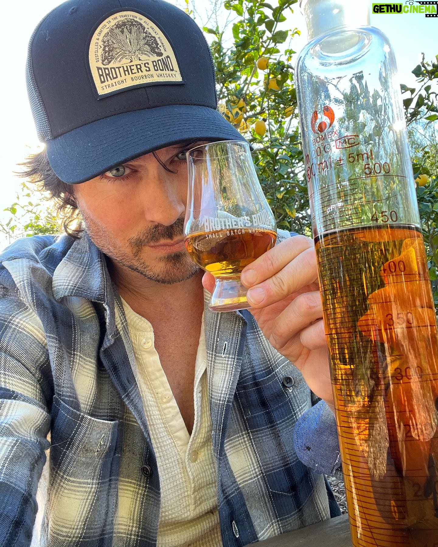 Ian Somerhalder Instagram - #happyearthday !!!!!!! We said we would do it and we did. We worked so hard to make this happen. We are so very proud to present our @brothersbondbourbon REGENERATIVE STRAIGHT BOURBON. Delicious. Nuanced. Carbon sequestering. The way nature intended. This is a small step but it’s our step and it’s our legacy. I can’t wait to share details about our amazing new distillery and incredible partners. Your mind will be blown… Dreams do come true. It’s time to celebrate American grain. Time to celebrate Farmers. Time to celebrate passion and innovation. Time to bond. #brothersbondbourbon #timetobond #bbbregenerativewhiskey NOTE: This label is obviously not final and is a mock up, but I was too excited to share. Do you like where we’re going with it? Drop a comment. WE VALUE YOUR FEEDBACK! 🙏🥃🌽🌾