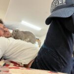 Ian Somerhalder Instagram – Just a man and his bunny