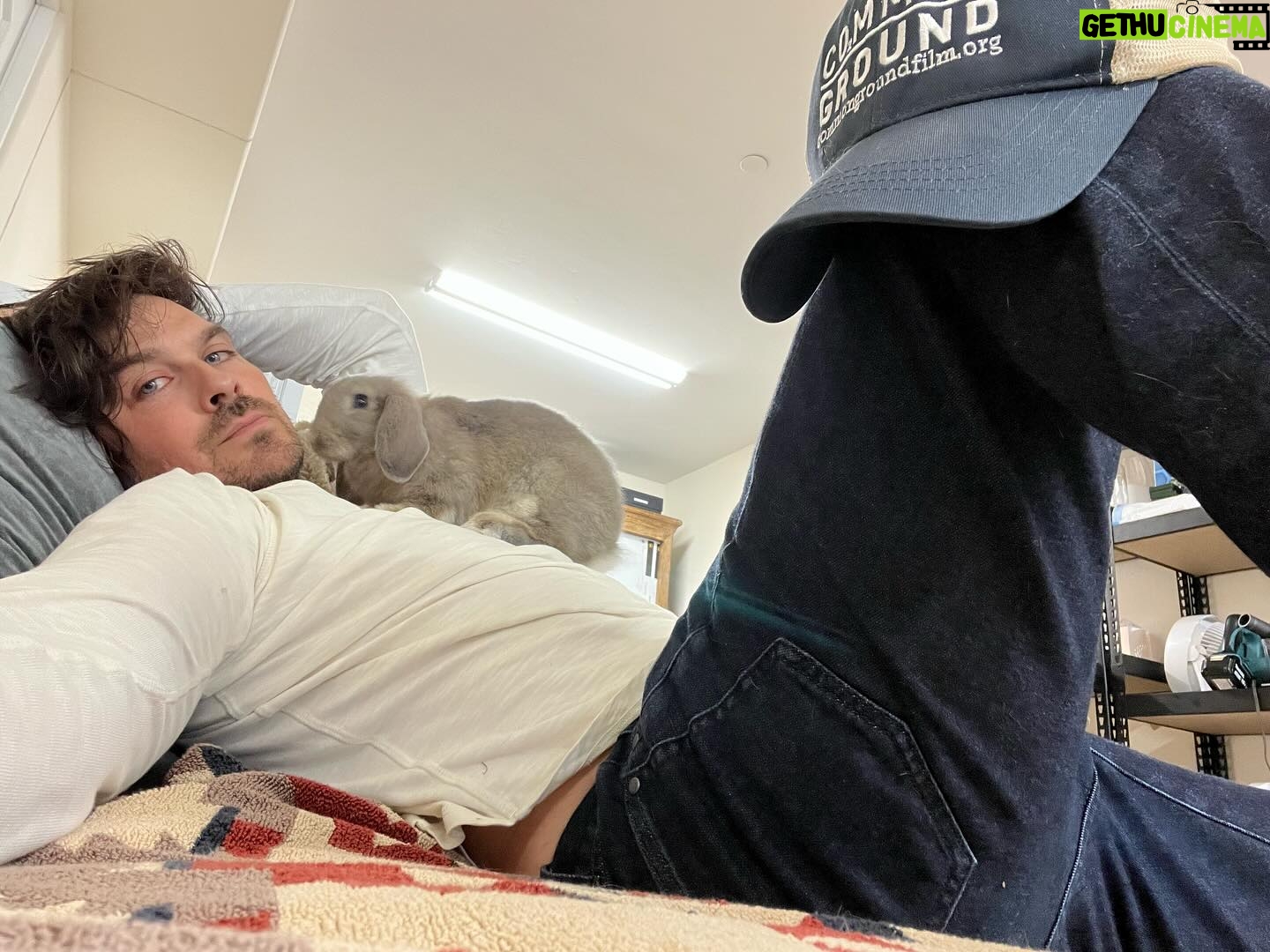 Ian Somerhalder Instagram - Just a man and his bunny