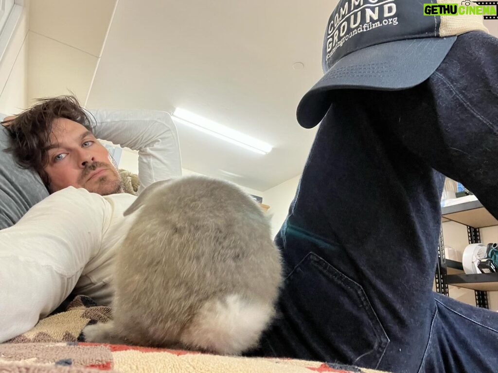 Ian Somerhalder Instagram - Just a man and his bunny