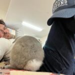 Ian Somerhalder Instagram – Just a man and his bunny