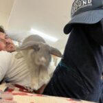Ian Somerhalder Instagram – Just a man and his bunny