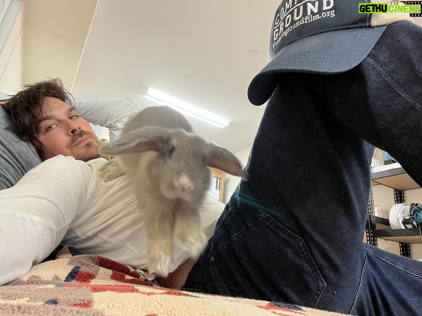 Ian Somerhalder Instagram - Just a man and his bunny