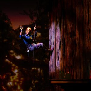 Idina Menzel Instagram - Cheers to the cast, creatives and crew of REDWOOD! This show has been such a wonderful journey and we’re so excited to celebrate all the hard work you’ve done. Break a leg tonight! Here’s to a wonderful run!🌲

📸 @richsoubletphotography 

#redwoodmusical #redwoodljp #theatre #musicaltheatre #musical