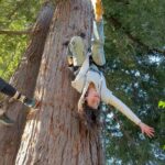 Idina Menzel Instagram - Behind the scenes with REDWOOD! We’re finishing up our first week of previews and, to celebrate, we wanted to give a little peek into a part of REDWOOD’s development! @tinalandau and @idinamenzel speak about visiting @bandalooping and learning to climb. It’s been so exciting to share this touching and wonderful show with audiences this past week! We can’t wait to welcome more of you to experience the redwoods through Jessie’s eyes🌲 Some tickets may be released daily, so we encourage you to keep an eye on our website or take your chances on rush tickets! We make sure to post on the @lajollaplayhouse story when groups of tickets are released! La Jolla Playhouse is the only authorized ticket seller for this production. #redwoodljp #redwoodmusical #lajollaplayhouse #theatre #musical #musicaltheatre