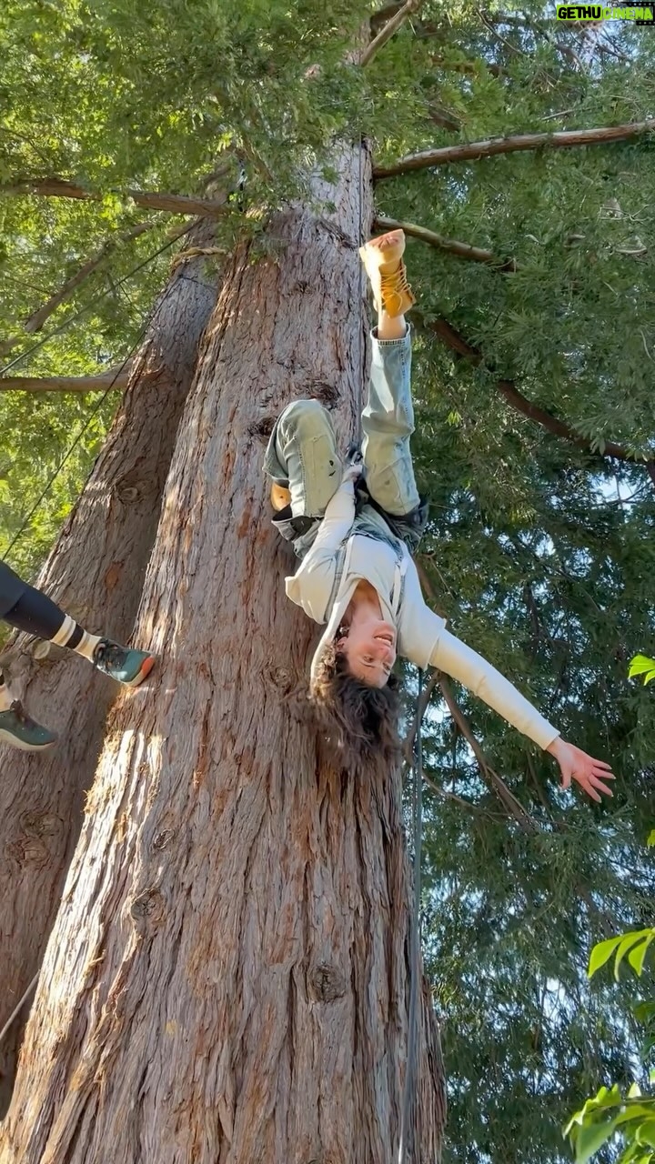 Idina Menzel Instagram - Behind the scenes with REDWOOD! We’re finishing up our first week of previews and, to celebrate, we wanted to give a little peek into a part of REDWOOD’s development! @tinalandau and @idinamenzel speak about visiting @bandalooping and learning to climb. It’s been so exciting to share this touching and wonderful show with audiences this past week! We can’t wait to welcome more of you to experience the redwoods through Jessie’s eyes🌲 Some tickets may be released daily, so we encourage you to keep an eye on our website or take your chances on rush tickets! We make sure to post on the @lajollaplayhouse story when groups of tickets are released! La Jolla Playhouse is the only authorized ticket seller for this production. #redwoodljp #redwoodmusical #lajollaplayhouse #theatre #musical #musicaltheatre