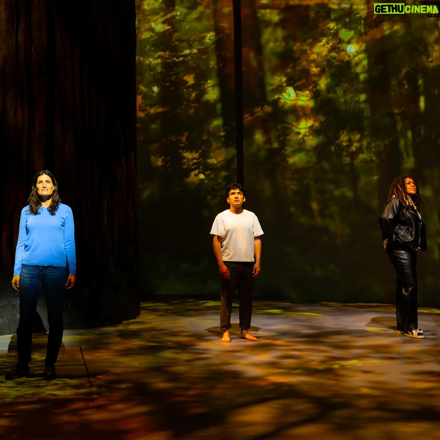 Idina Menzel Instagram - Wishing the REDWOOD team a wonderful closing night! Congratulations on all your hard work throughout the process and the beautiful show that you’ve created. @redwoodmusical is such a special story that we’ve all been thrilled to be a part of at @lajollaplayhouse. Break a leg! 📸 @richsoubletphotography #redwoodmusical #theatre #musicaltheatre #lajollaplayhouse