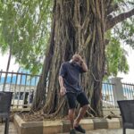 Idris Elba Instagram - Roots on the outside