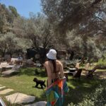 Ilayda Akdoğan Instagram - why i haven’t replied