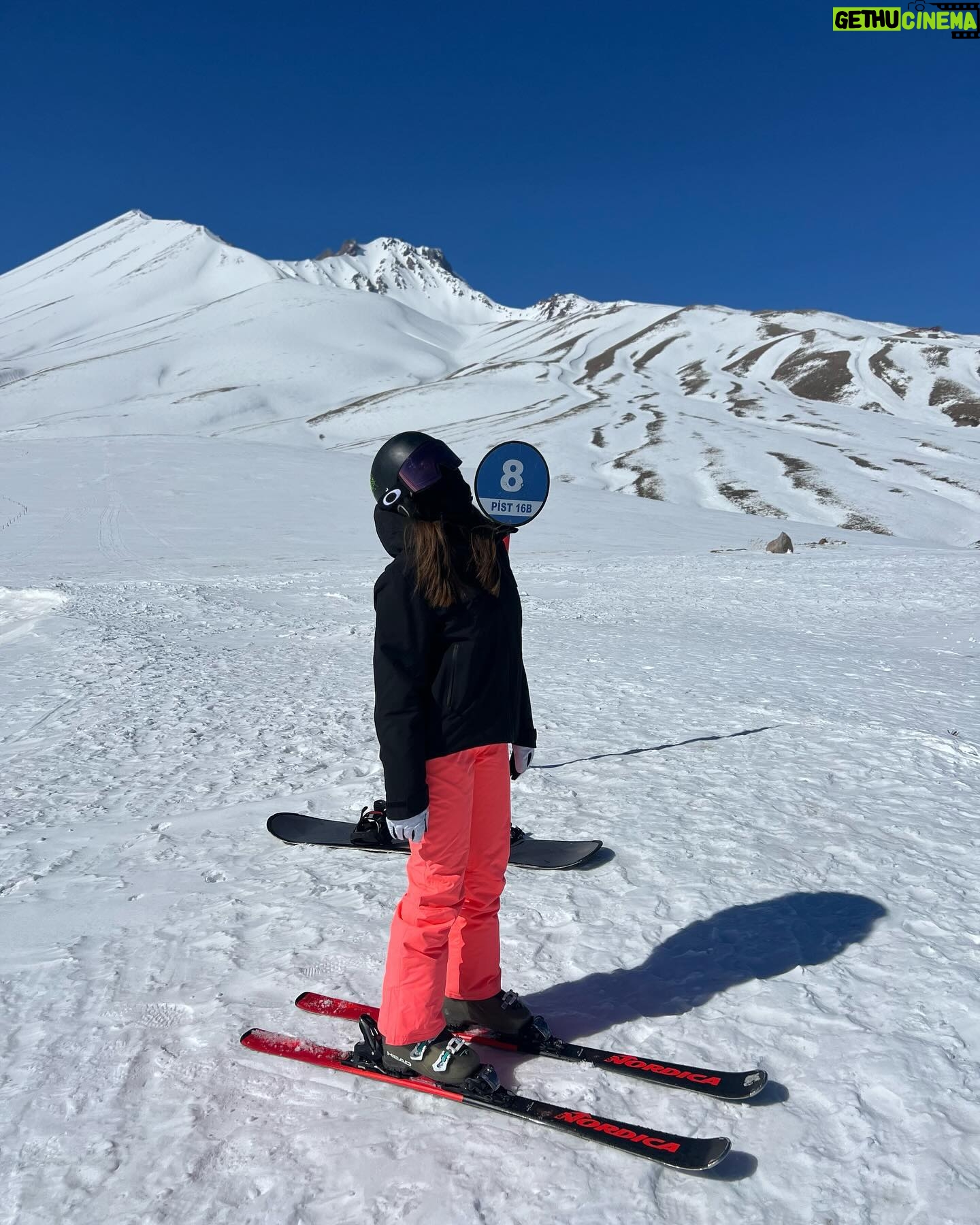 Ilayda Akdoğan Instagram - life is nice when it looks like this