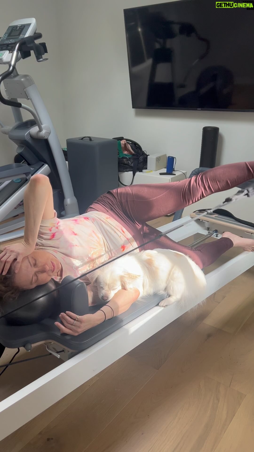 Iliza Shlesinger Instagram - I love when @icespice says “she showin her panty” lol. Tian Fu, showin her panty. Tonin’ the hammy. Soft as a lamby. 10 more days till a baby… Doin work on a red spring.